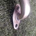 Трубка EGR Audi A2 8Z (1999-2005) 036131521AC
