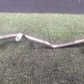Трубка EGR Audi A2 8Z (1999-2005) 036131521AC