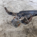 Ручка ручника audi a6 c5 Audi A6 C5 (1997-2004) 8D0711305F