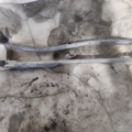 Audi A6 C6 (2004-2011) 4F1955023J