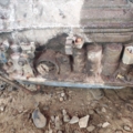 Hyundai Terracan HP (2001-2007) 45000H1070