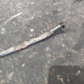 Hyundai Terracan HP (2001-2007) 47222H1911