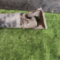 Hyundai Terracan HP (2001-2007) 49020H1332