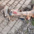 Hyundai Terracan HP (2001-2007) 52100H1121