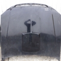 капот Hyundai Terracan HP (2001-2007) 79000H1210