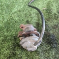 клапан egr Hyundai Terracan HP (2001-2007) 284104X410