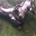 Корпус термостату Hyundai Terracan HP (2001-2007) 255504X110