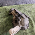 Редуктор передній Mercedes-Benz ML-Class W163 1997-2005 A1633300005
