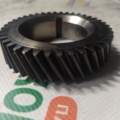 Nissan Patrol Y61 (1997-2013) 130212W201