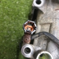 Компресор кондиціонера 2.2 дизель Nissan X-Trail T30 (2001-2007) 926005M301