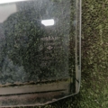 Скло задніх правих дверей Nissan X-Trail T30 (2001-2007) 823008H300