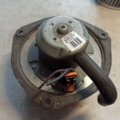 Opel Sintra 96-99 52484706