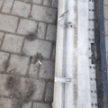 Бампер задній opel vectra b Opel Vectra B (1995-2002) 90464553