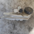 Volkswagen Golf III (1991-1999) 03350882762