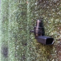 Датчик положения розподільчого валу Volkswagen Golf IV (1997-2006) 036907601B