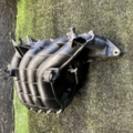 Впускний колектор Volkswagen Golf IV (1997-2006) 036129711DR