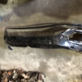 Volkswagen Golf VII (2012-2019) 5G0807221