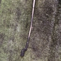 Повідок двірника Volkswagen Passat B6 (2005-2010) 3C1955410B