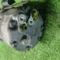 Компресор кондиціонера Volkswagen Sharan I (1995-2010) 7M3820803B