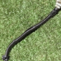 Датчик положення колінвалу Volkswagen Touareg I (2002-2010) 077905381K