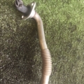 Трубка Volkswagen Touran I (2003-2010) 03C131521T