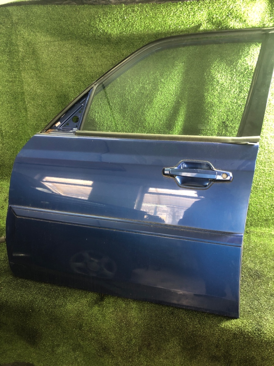 Двері передні ліві в зборі Hyundai Terracan HP (2001-2007) 76010H1010