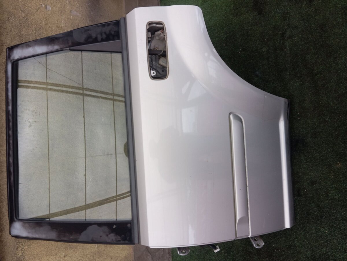 Двері задні ліві Nissan X-Trail T30 (2001-2007) H21018H7MM