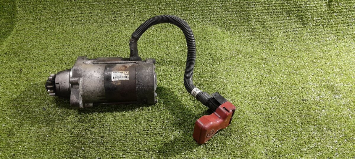 false Nissan X-Trail T30 (2001-2007) 233008H801